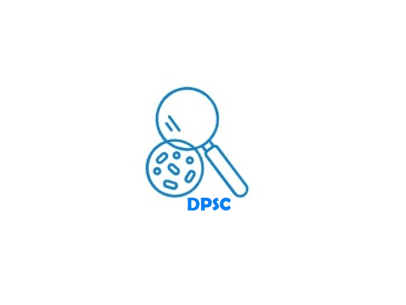Conference DPSC2024